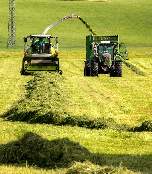 Terra Oracle AI transforming agriculture with AI and data