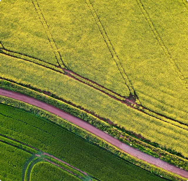Crop monitoring
