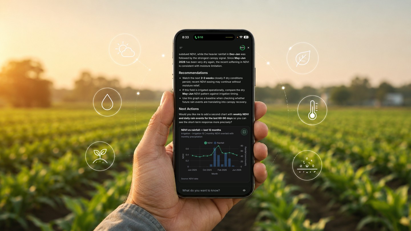 Phone showing an AI farming assistant answering with NDVI and rainfall context in the field