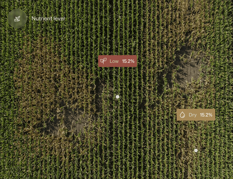 Detect problem zones